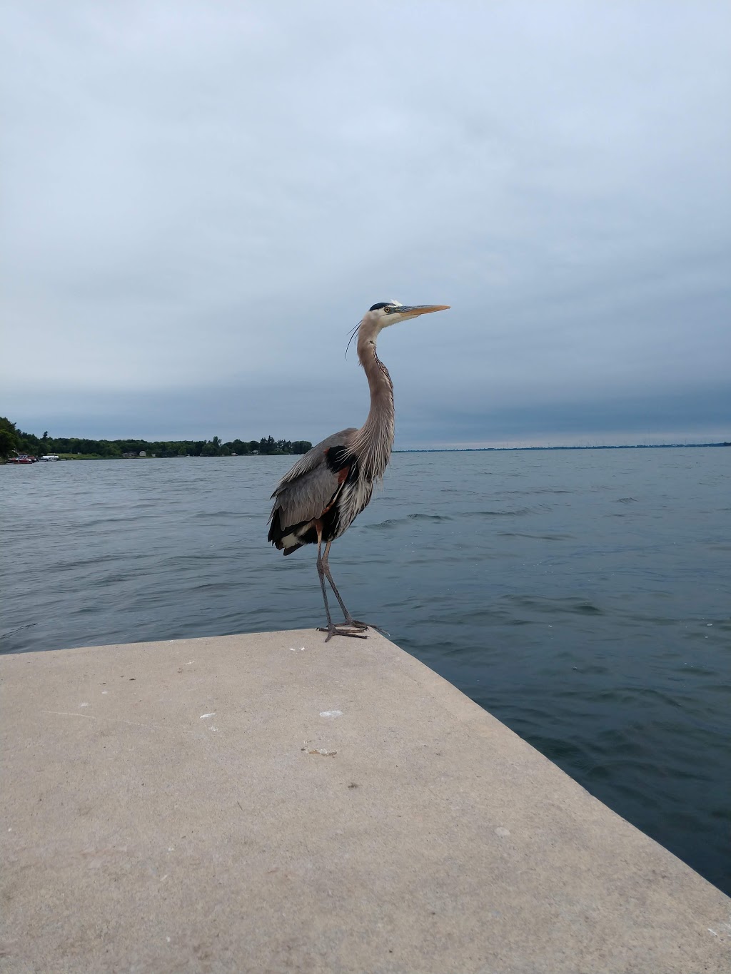 Burnham Point State Park | 34075 NY-12E, Cape Vincent, NY 13618, USA | Phone: (315) 654-2324
