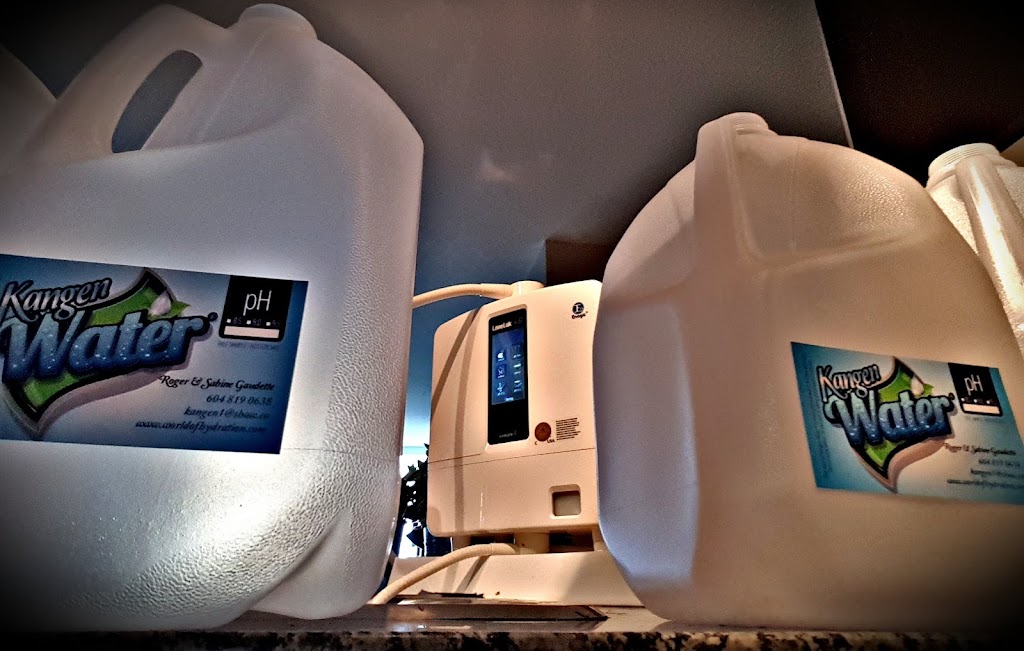 Kangen Water Pitt Meadows | 12460 191 St #210, Pitt Meadows, BC V3Y 2J2, Canada | Phone: (604) 819-1252