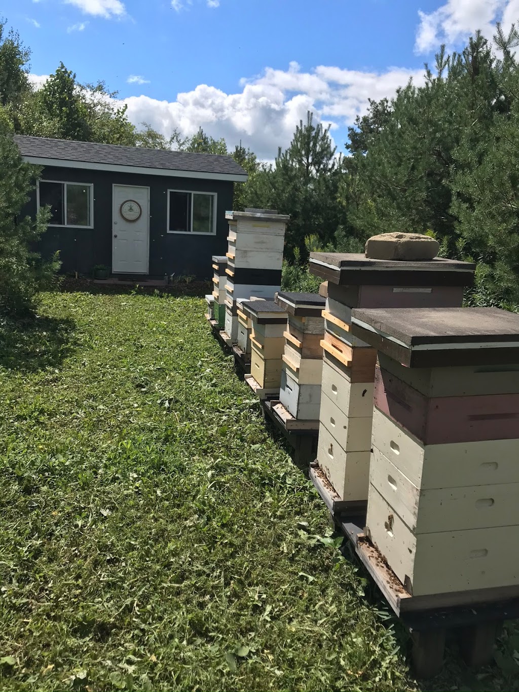 Derkwood Beekeeping Supplies | 194204 Amaranth East Luther Townline, Grand Valley, ON L9W 0N6, Canada | Phone: (519) 939-6687