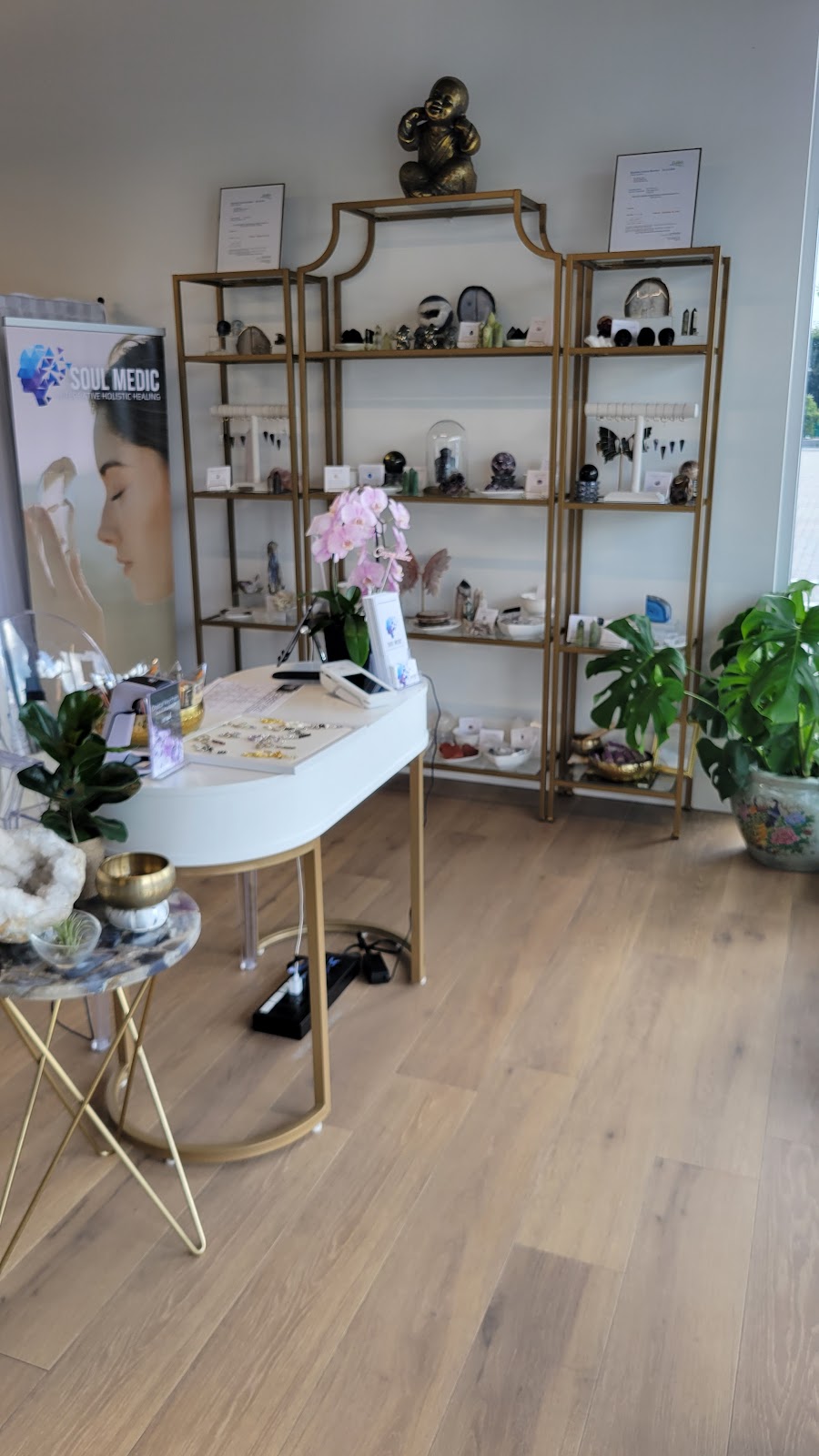 Soul Medic | 9 Woodlawn Rd E Ste 102, Guelph, ON N1H 0C1, Canada | Phone: (416) 899-4358