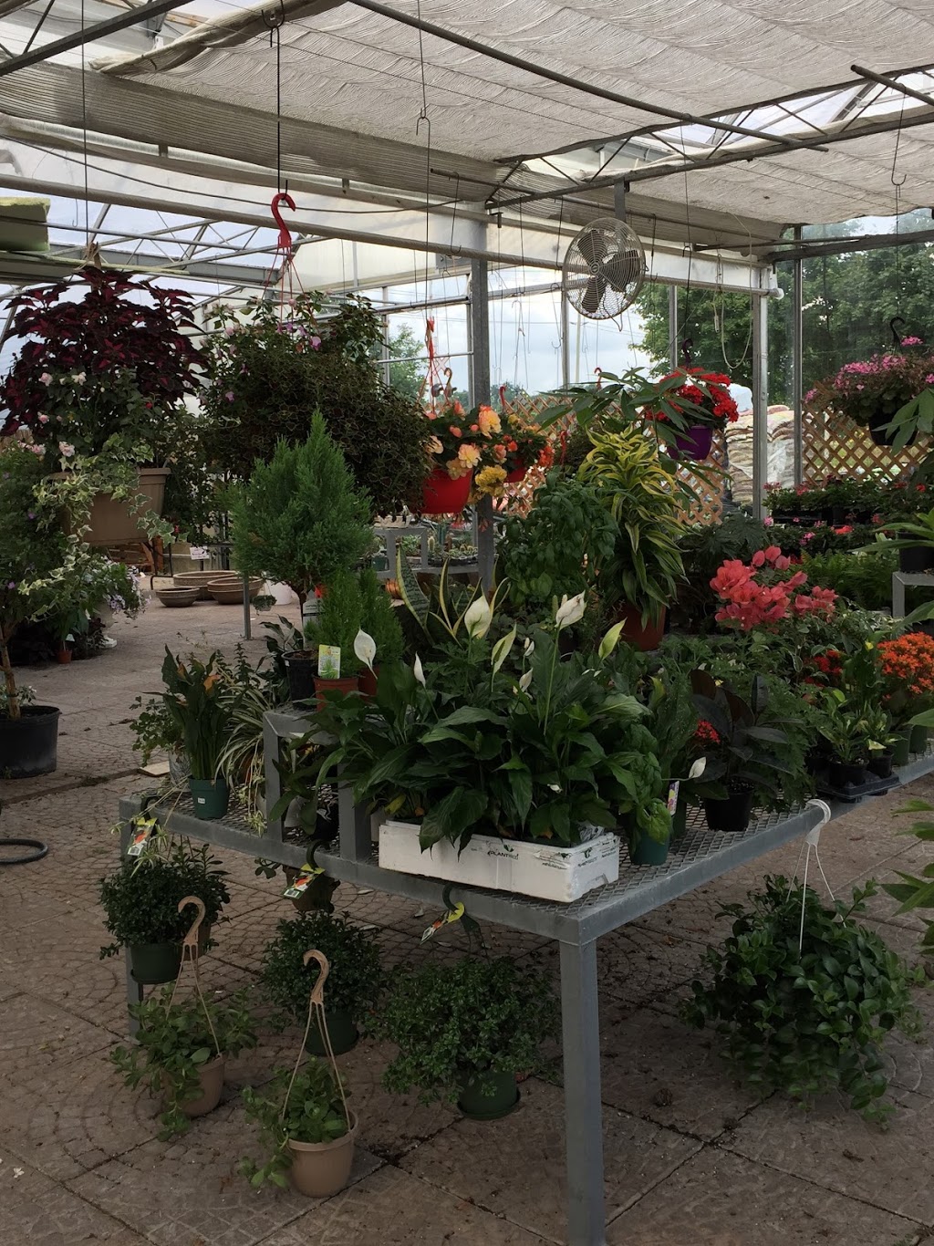 Eramosa Garden Centre | 5104 3 Line, Guelph/Eramosa, ON N0B 2K0, Canada | Phone: (519) 993-2583