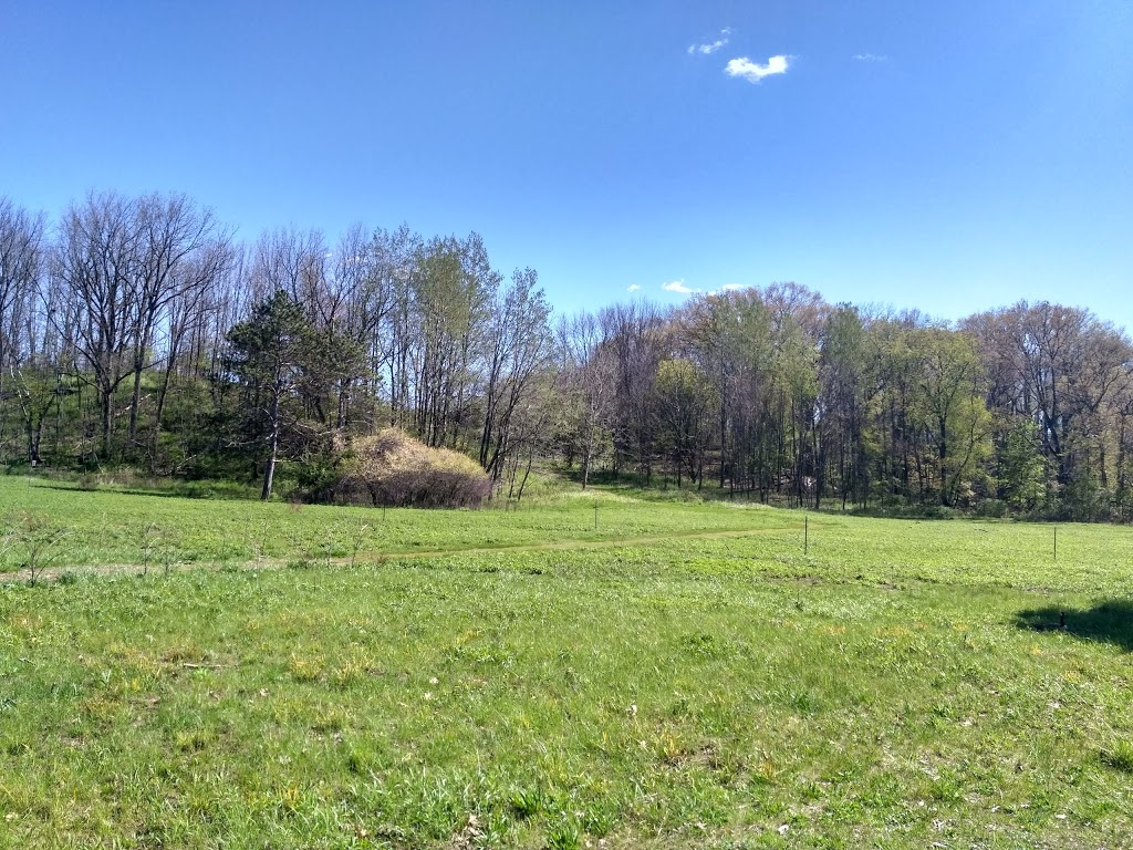 Princess Point | Dundurn B, Hamilton, ON L8S, Canada