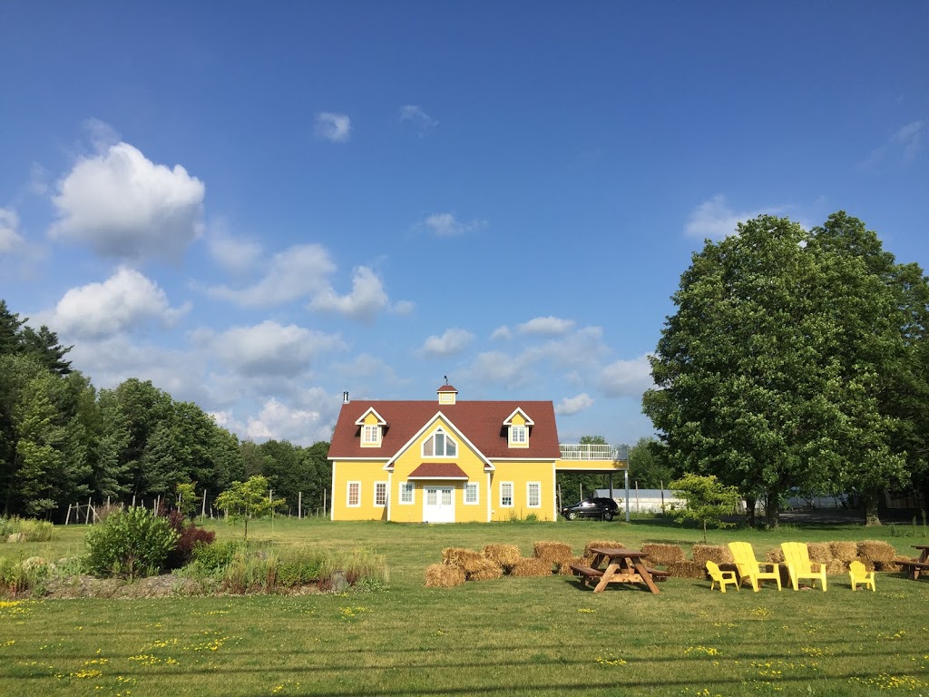 Vignes Chez Soi | 152 Chemin Milton, Granby, QC J2J 0P2, Canada | Phone: (450) 775-0482