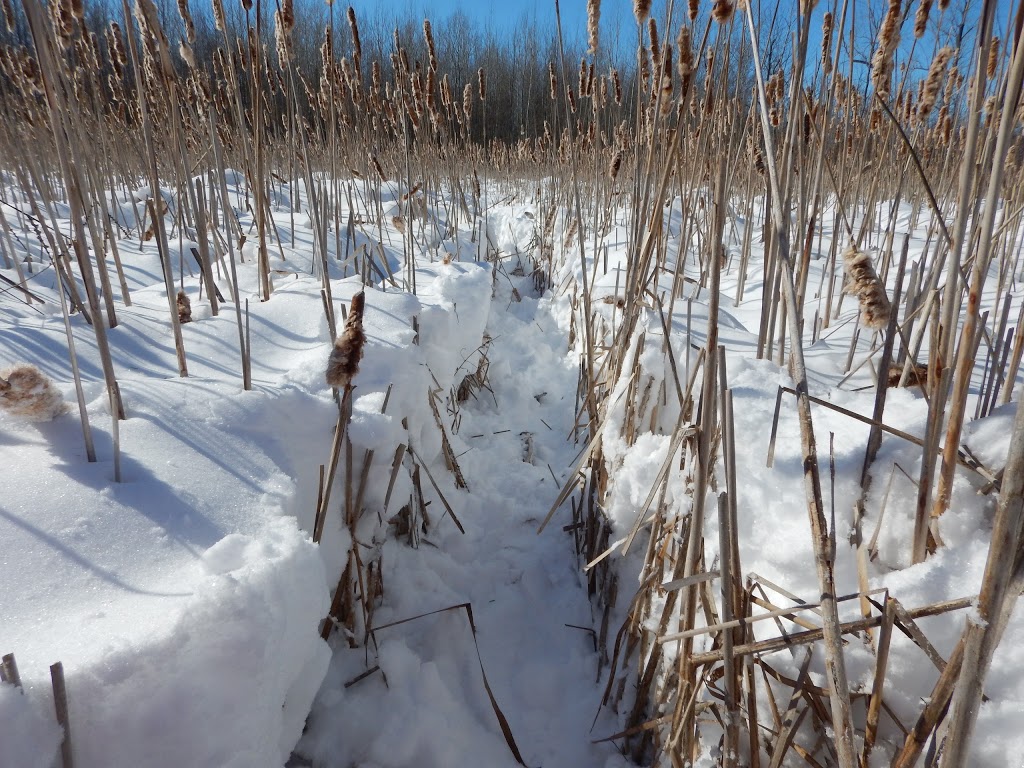 Parc Wilfrid-Denault | 210 Rue de la Tadoussac, La Prairie, QC J5R 6K5, Canada