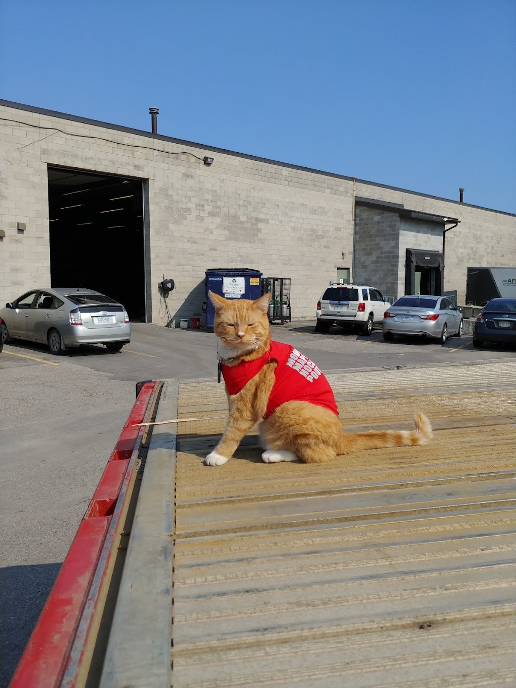 AFM Industries | 828 Ritson Rd S, Oshawa, ON L1H 5L4, Canada | Phone: (905) 443-0150