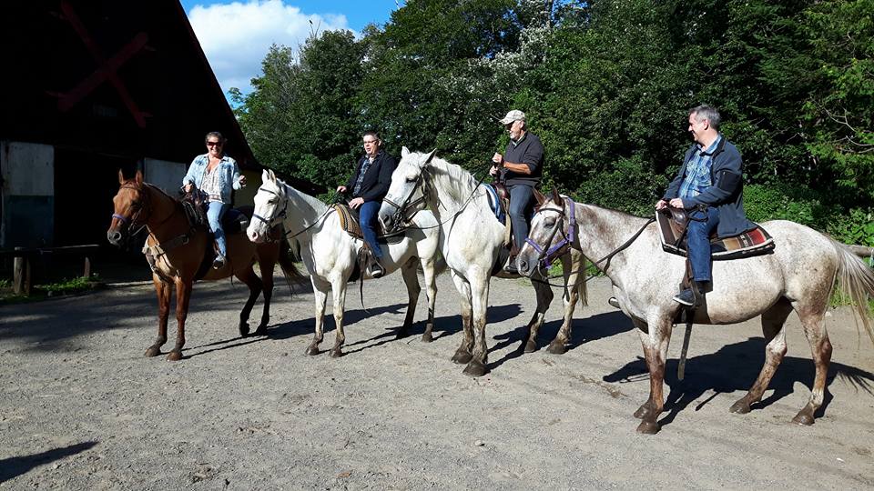 Les Écuries Du Chantecler | 1815 Rue du Mont Blanc, Sainte-Adèle, QC J8B 2Z8, Canada | Phone: (450) 229-7700