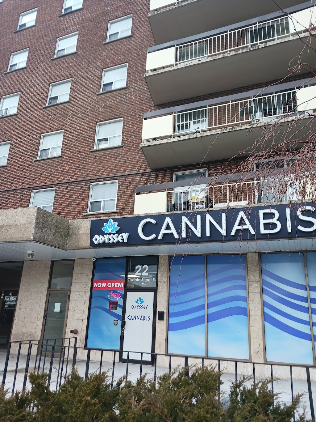 Odyssey Cannabis | 22 Tisdale St S, Hamilton, ON L8N 2V9, Canada | Phone: (905) 525-1117