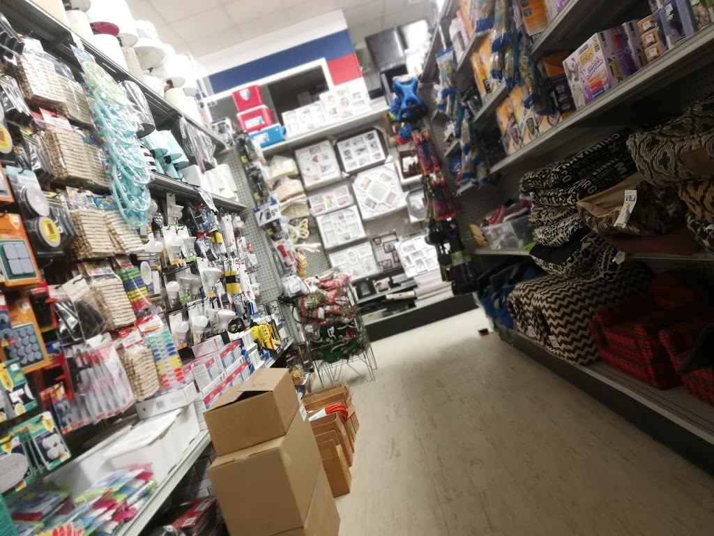 Rossy | 9408 Rue Main, Richibouctou, NB E4W 4E1, Canada | Phone: (506) 523-1504