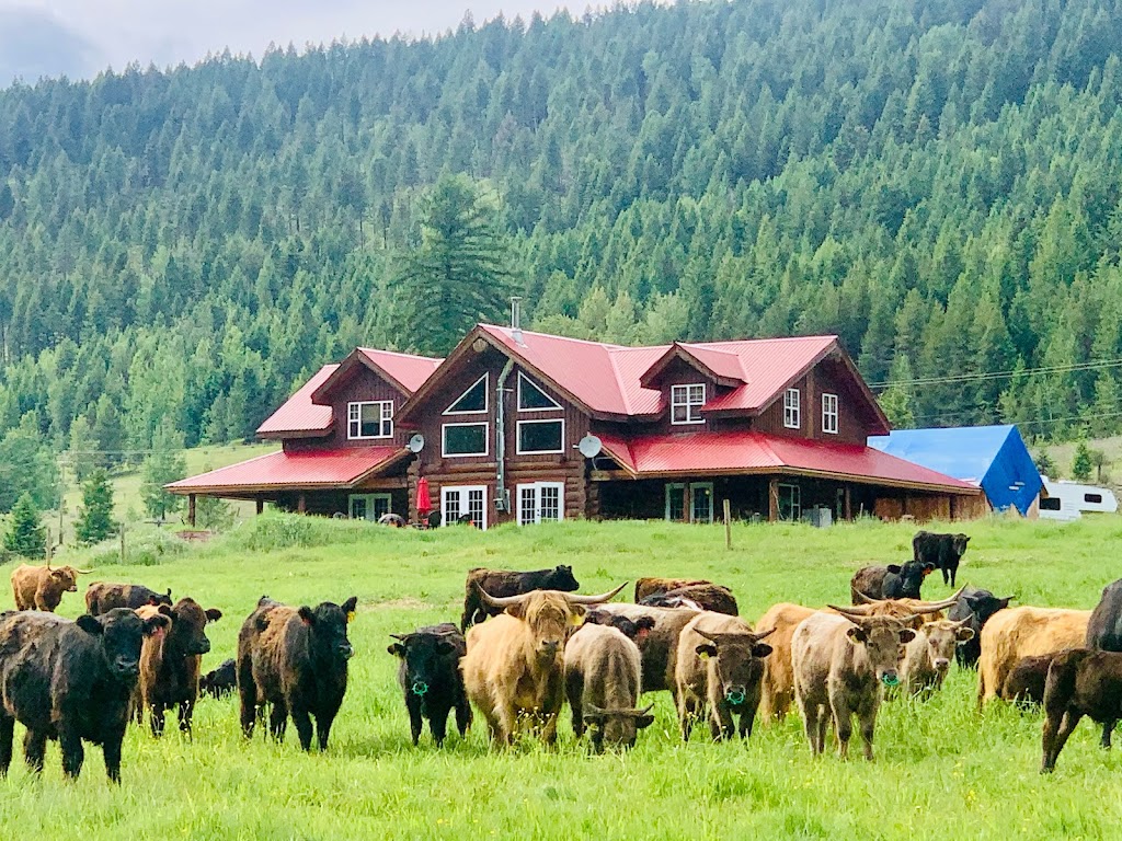 Waikikahei Ranch Ltd | 11949 BC-3, Greenwood, BC V0H 1J0, Canada | Phone: (250) 445-6362