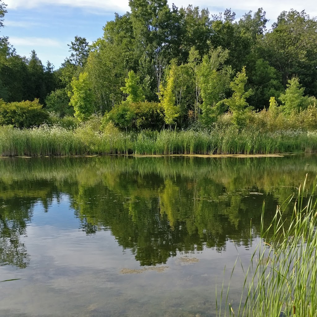 Stouffville Conservation Area | 3329 Aurora Rd, Newmarket, ON L3Y 4W1, Canada | Phone: (905) 895-1281