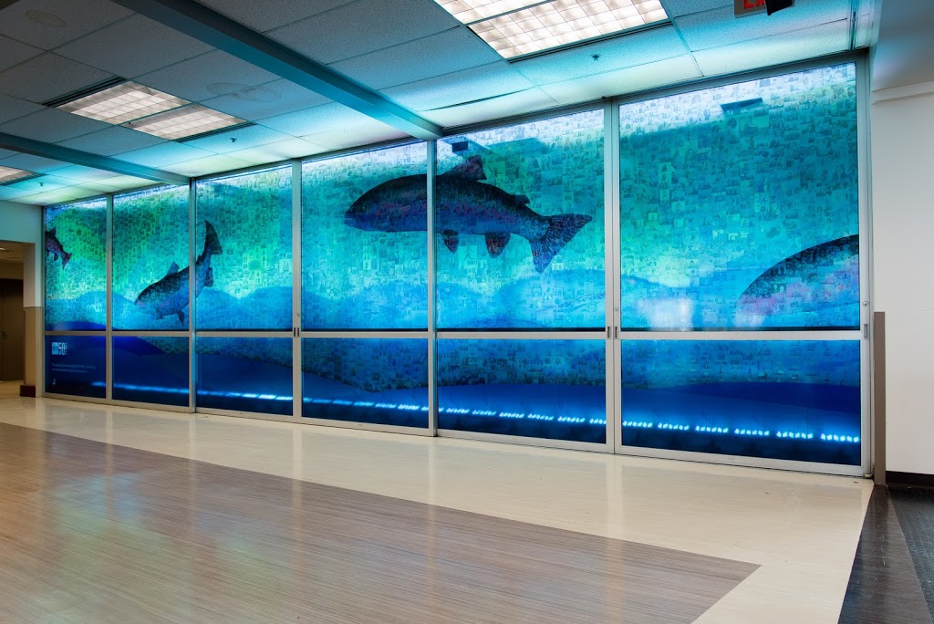 BCIT School of Business   Media | 3700 Willingdon Avenue SE6, Burnaby, BC V5G 3H2, Canada | Phone: (604) 432-8581