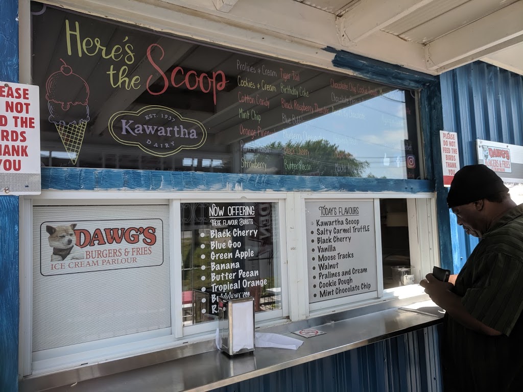 Dawgs Burgers & Fries | 5 Marina Dr, Port Colborne, ON L3B 4E4, Canada | Phone: (905) 650-1651