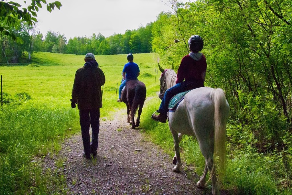 Center Riding Jacques Robidas | 32 Chemin McFarland, Hatley, QC J0B 2C0, Canada | Phone: (819) 563-0166