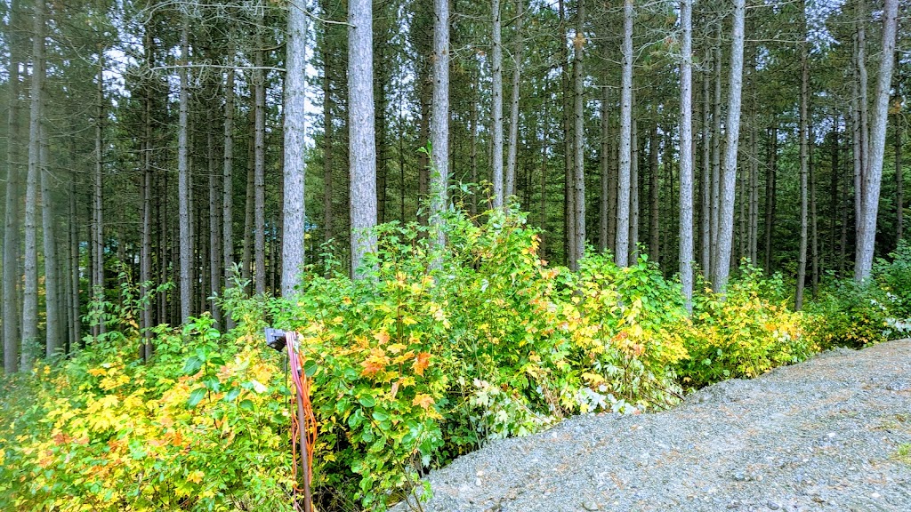 Le Camp De LArche | 41 Rte Fermanagh S, Saint-Elzéar, QC G0S 2J0, Canada | Phone: (418) 596-3041