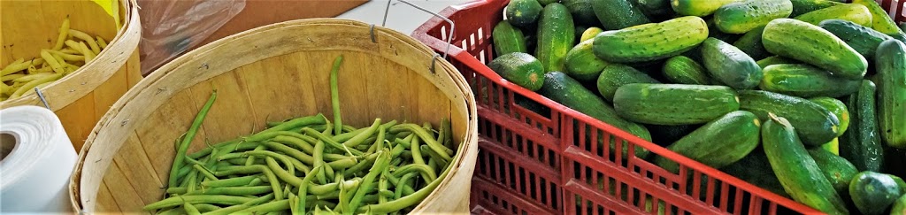 Les Jardins de Micheline | 139 Rue Maskinongé, Saint-Gabriel-de-Brandon, QC J0K 2N0, Canada | Phone: (450) 835-3488