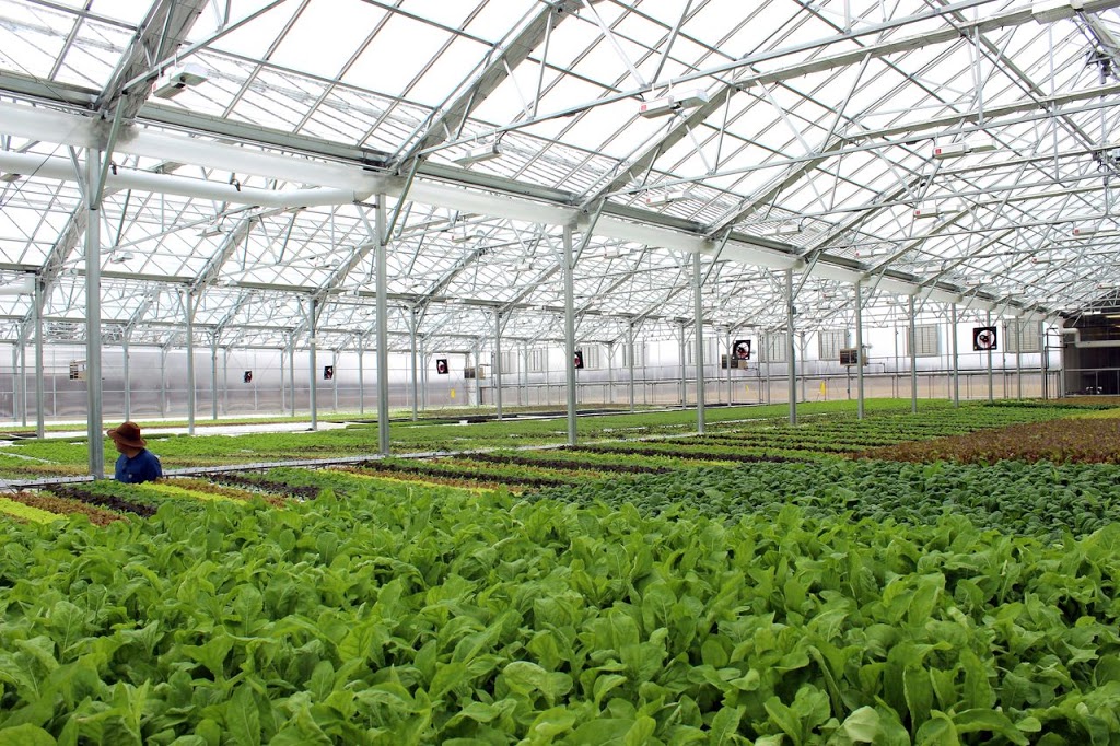 Hydroculture Guy Dionne Inc | 8473 Ave Albert-Louis-Van Houtte, Montreal, QC H1Z 4J2, Canada | Phone: (514) 722-9496