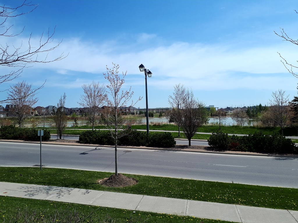 Scottwoods Transport Inc | 3300 King Vaughan Rd, Maple, ON L6A 2A9, Canada | Phone: (905) 833-0200