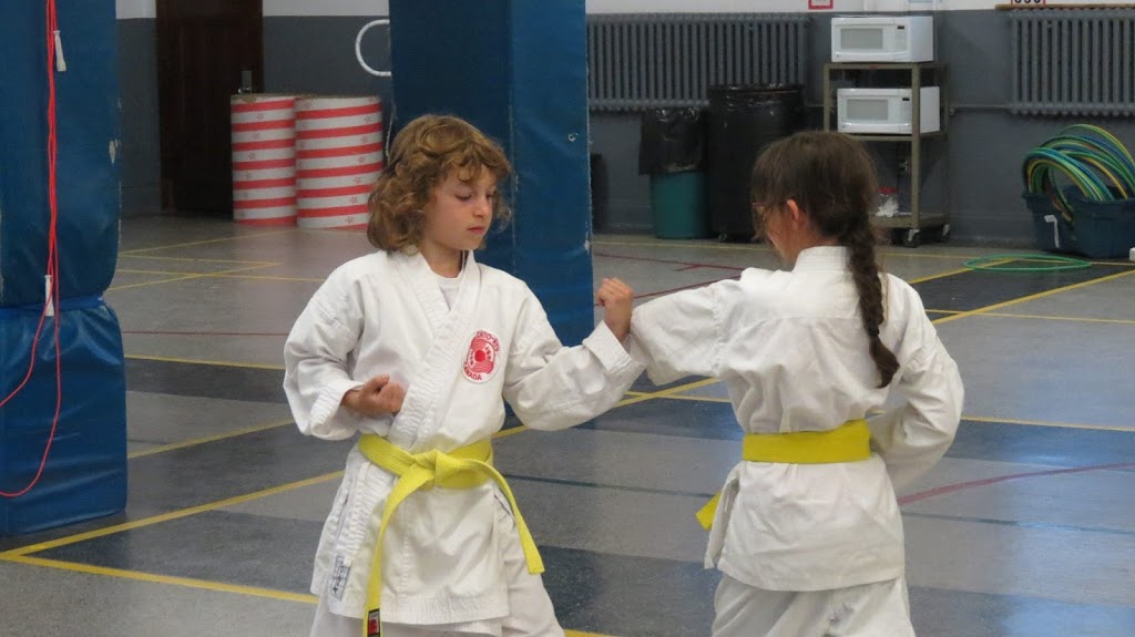 Karaté Chito-Ryu Drummondville, Gymnase École Laquarelle | 1140 Rue Saint Edgar, Drummondville, QC J2B 2W1, Canada | Phone: (819) 850-6071
