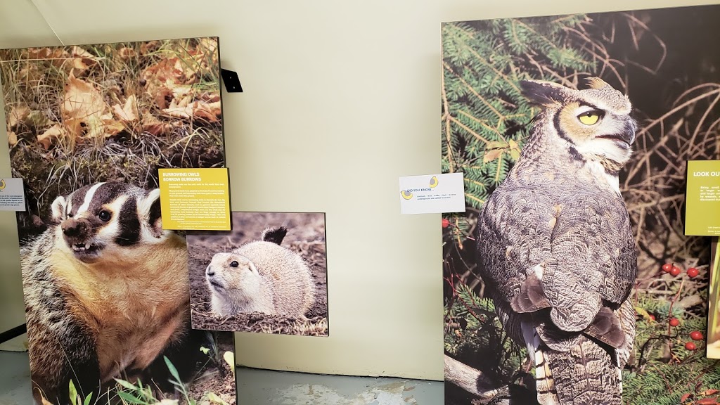 Saskatchewan Burrowing Owl Interpretive Centre | 250 Thatcher Dr E, Moose Jaw, SK S6J 1L7, Canada | Phone: (306) 692-8710