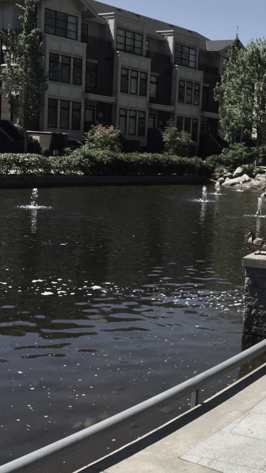 Michael Smith Park | 5638 Birney Ave, Vancouver, BC V6S 0H8, Canada | Phone: (604) 827-5158