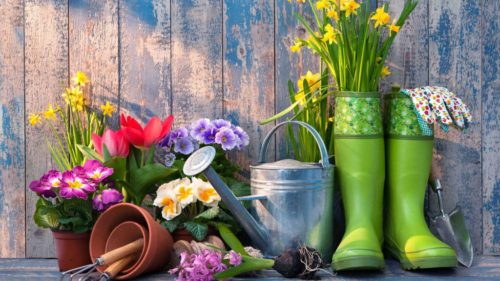 Better Earth Gardens & Tropicals | 1629 K. L. O. Rd, Kelowna, BC V1W 3P3, Canada | Phone: (250) 861-1881