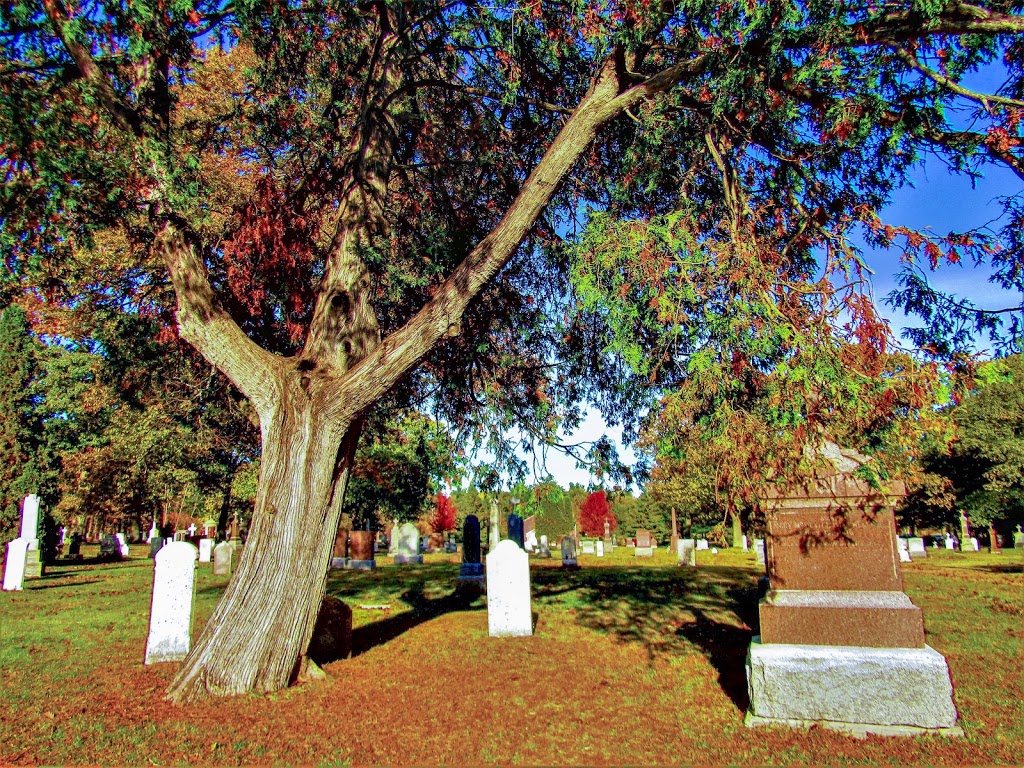 St Marys Catholic Cemetery | 208 Sunnidale Road, Barrie, ON L4M 5R4, Canada | Phone: (705) 726-3931