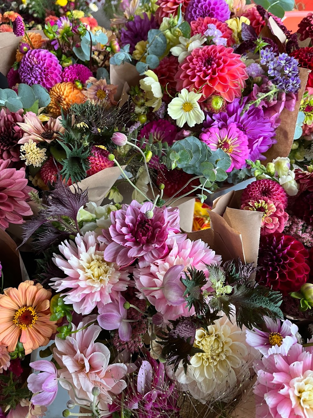 Grow & Gather Flower Farm | 5886 Kapoor Rd, Duncan, BC V9L 6H6, Canada | Phone: (778) 836-0624