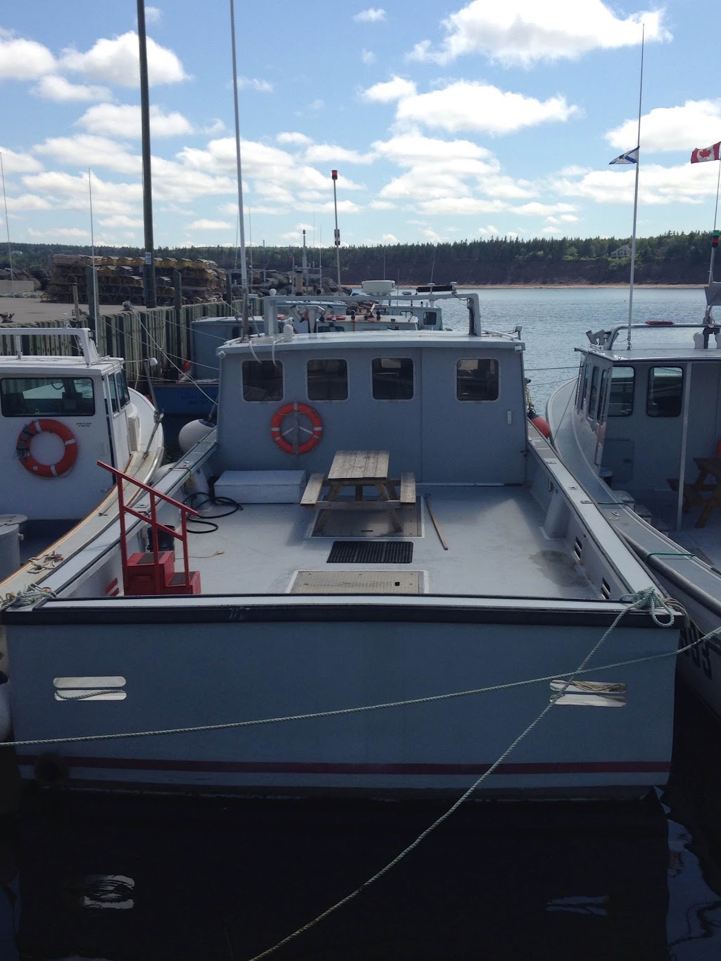 Scotia Tuna Charters - Cribbons, Point Rd, Antigonish, NS B2G 2L2, Canada