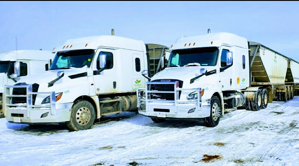 PB32INC | 7431 8 St NW, Edmonton, AB T6P 1T9, Canada | Phone: (647) 938-8797