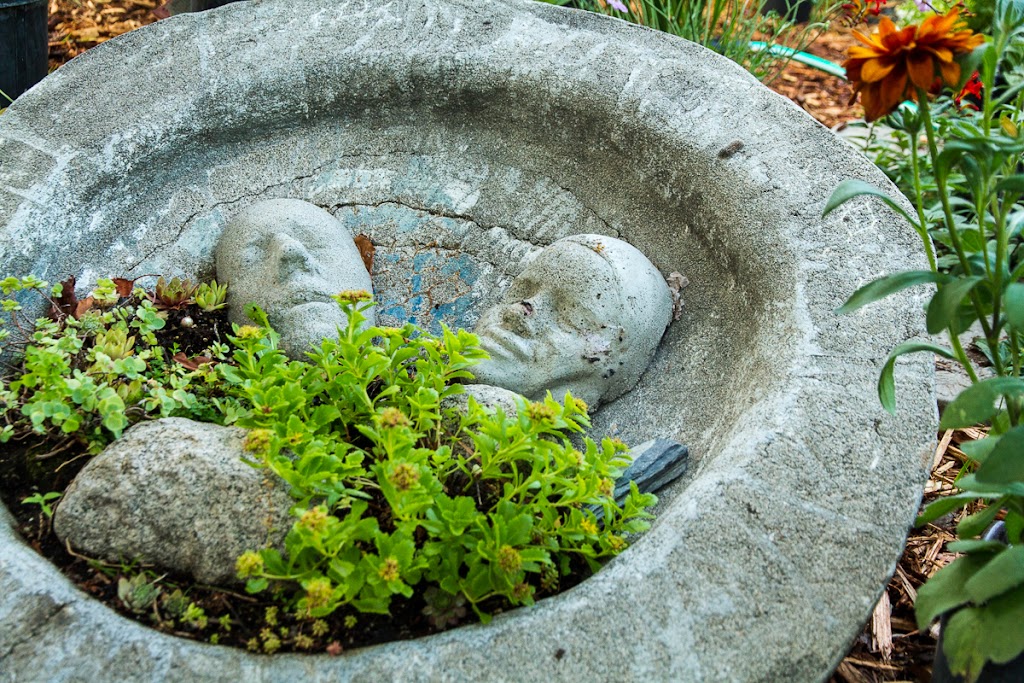 Durands Nursery | 9 Johnson Rd, Christina Lake, BC V0H 1E2, Canada | Phone: (250) 447-6299