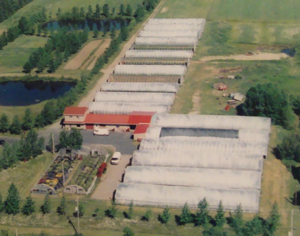 Eco Fleurs 2006 Inc | 1516 Rue du Pont, Saint-Lambert-de-Lauzon, QC G0S 2W0, Canada | Phone: (418) 417-0678