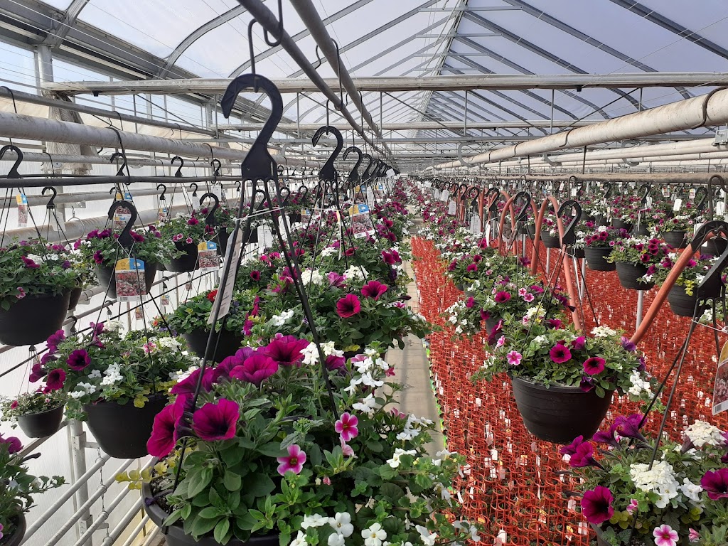 Darvonda Nurseries Ltd | 4707 49 St, Mundare, AB T0B 3H0, Canada | Phone: (587) 921-7555