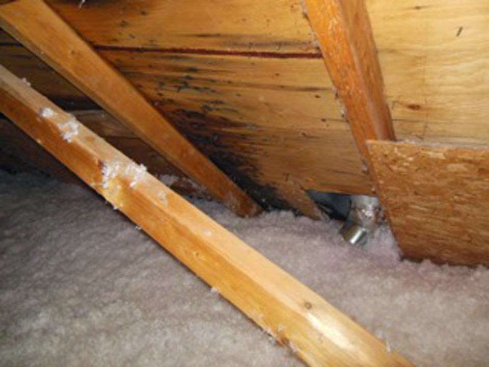 Durham Insulation | 2704 Concession Rd 7, Bowmanville, ON L1C 3K6, Canada | Phone: (905) 435-5551