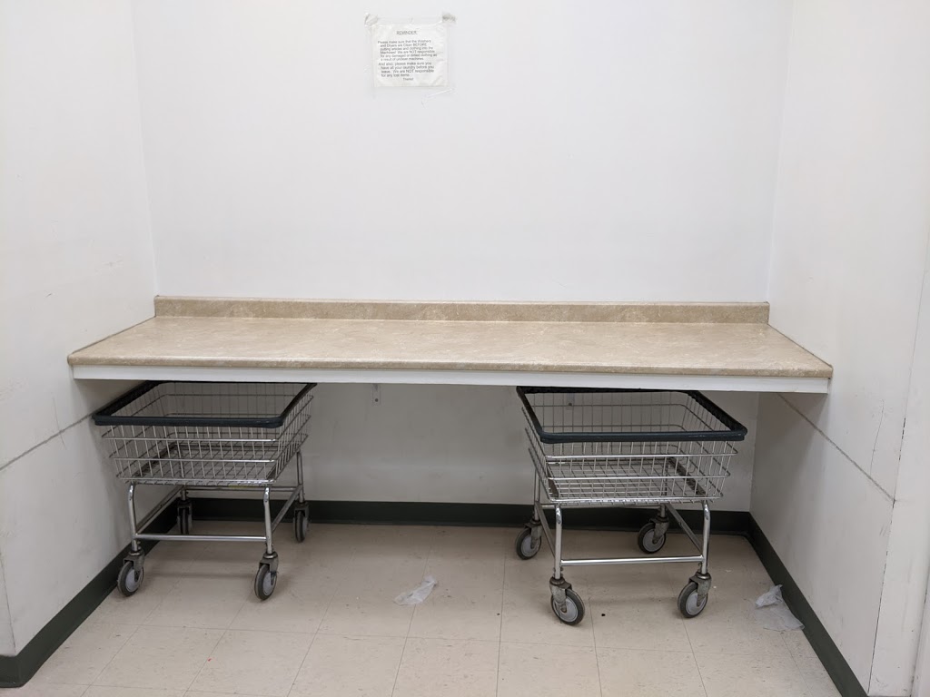 Suds & Duds Laundromat Nebo Variety | 1205 Rymal Rd E, Hamilton, ON L8W 3M9, Canada | Phone: (905) 385-9910
