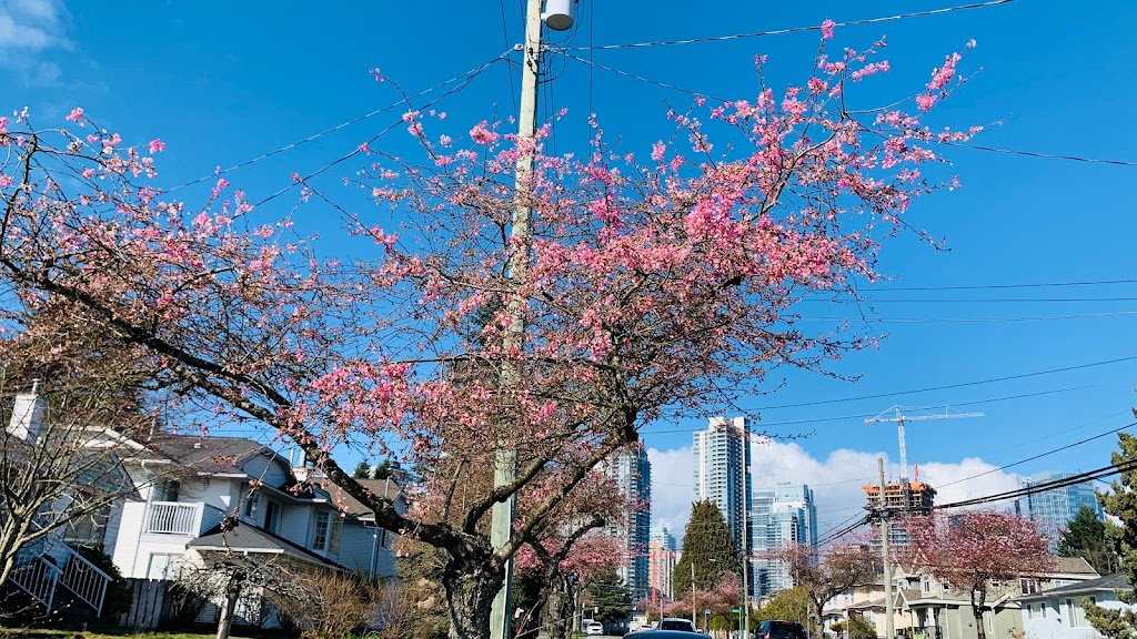 悦来客栈 | 4393 Victory St, Burnaby, BC V5J 1R1, Canada | Phone: (778) 865-3263