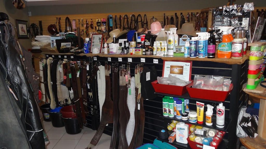 Horsen Around | 7875 48 Ave #6, Red Deer, AB T4P 2K1, Canada | Phone: (403) 356-0166