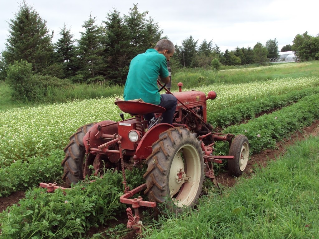Ferme des Ruisseaux | 636 Av. des Ruisseaux, Pintendre, QC G6C 1N1, Canada | Phone: (418) 835-1134
