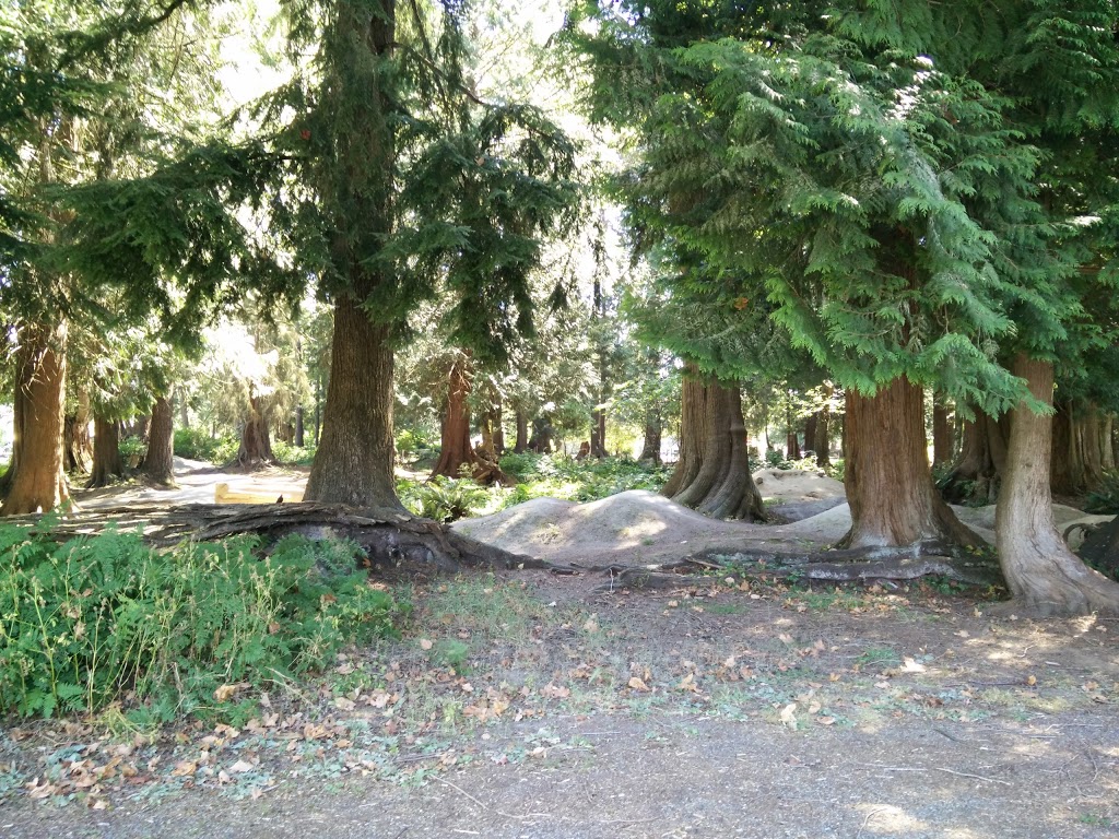 Westview Park | 20950 Wicklund Ave, Maple Ridge, BC V2X, Canada