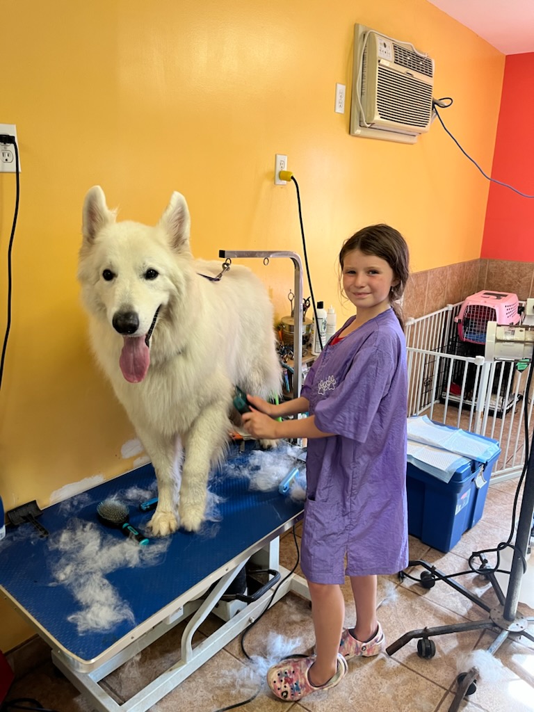 Eastern Dawn Kennels | 4884 Murray Harbour Rd, Vernon Bridge, PE C0A 2E0, Canada | Phone: (902) 651-2309