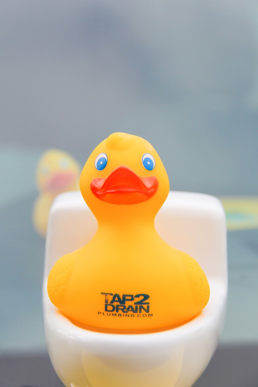 Tap 2 Drain Plumbing | 7111 Beatty Dr #1006, Mission, BC V2V 6C4, Canada | Phone: (604) 476-9104