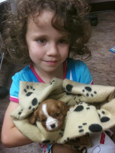 Gateway Pet Hospital Kitchener | 4391 King St E, Kitchener, ON N2P 2G1, Canada | Phone: (519) 653-1003