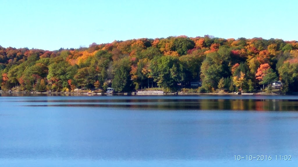 Tall Pines Cottages | 1150 Maebar Rd, Minden, ON K0M 2K0, Canada | Phone: (705) 489-3739