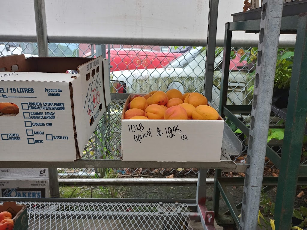 Agassiz Produce Market | 7266 Pioneer Ave, Agassiz, BC V0M 1A0, Canada | Phone: (604) 796-8444
