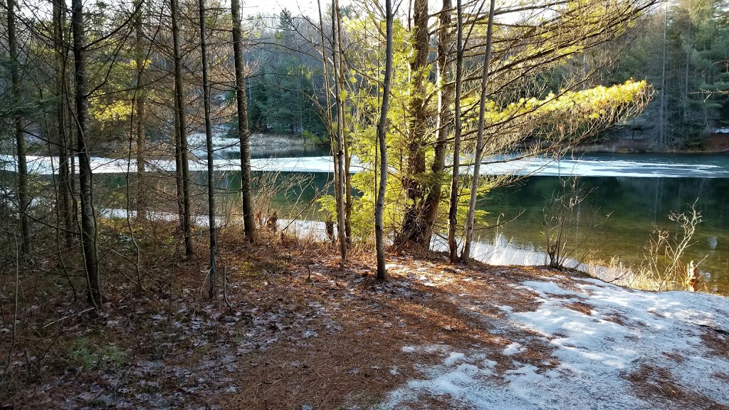 Yearley Outdoor Education Ctr | 2424 Yearley Rd, Utterson, ON P0B 1M0, Canada | Phone: (705) 685-7922