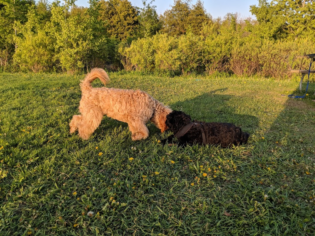 Rougeview Dog Park | 300 Rougeview Ave, Whitchurch-Stouffville, ON L4A 0G5, Canada