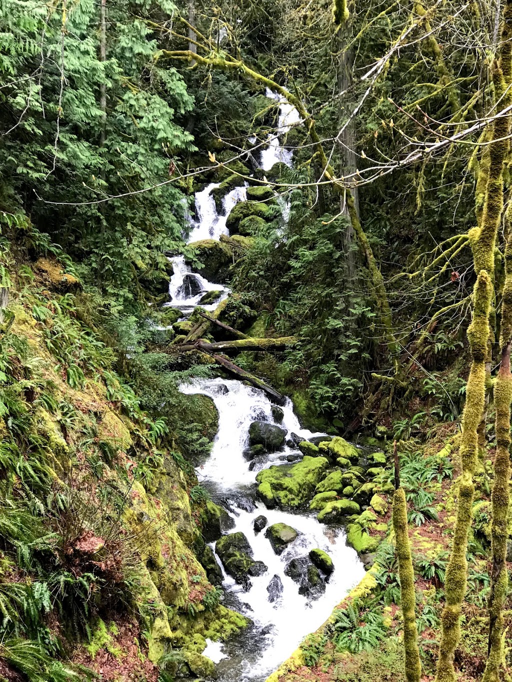 Sooke Hills Wilderness Regional Park | 3059 Humpback Rd, Victoria, BC V9B 5Y6, Canada | Phone: (250) 478-3344