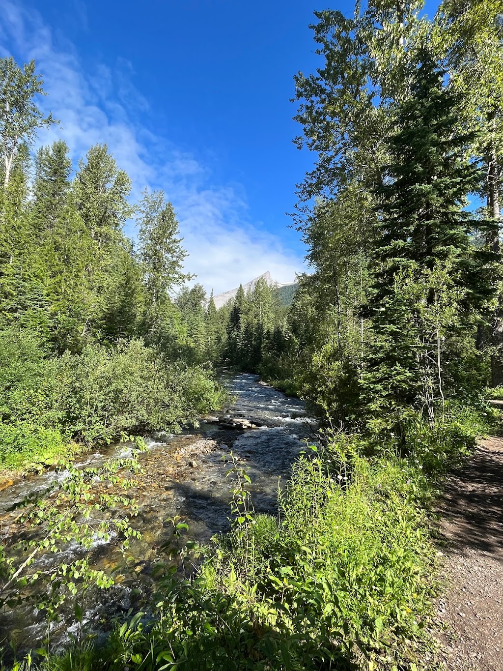 Fairy Creek Falls | 102 Commerce Rd, Fernie, BC V0B 1M5, Canada | Phone: (250) 423-6868