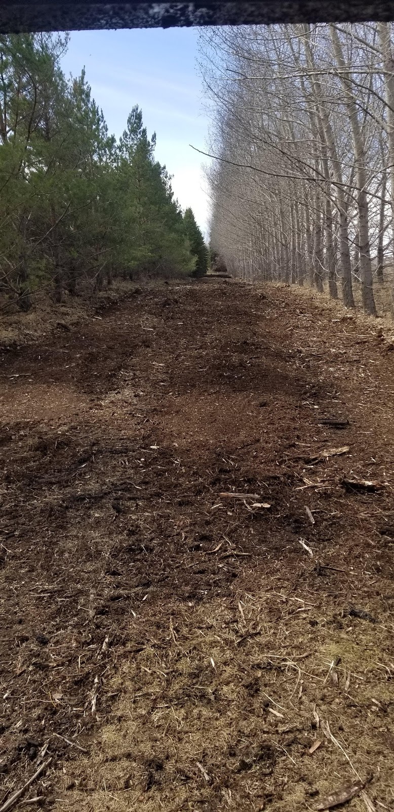 Timberline Mulching | 10212 107 St, Westlock, AB T7P 1X4, Canada | Phone: (780) 307-8641