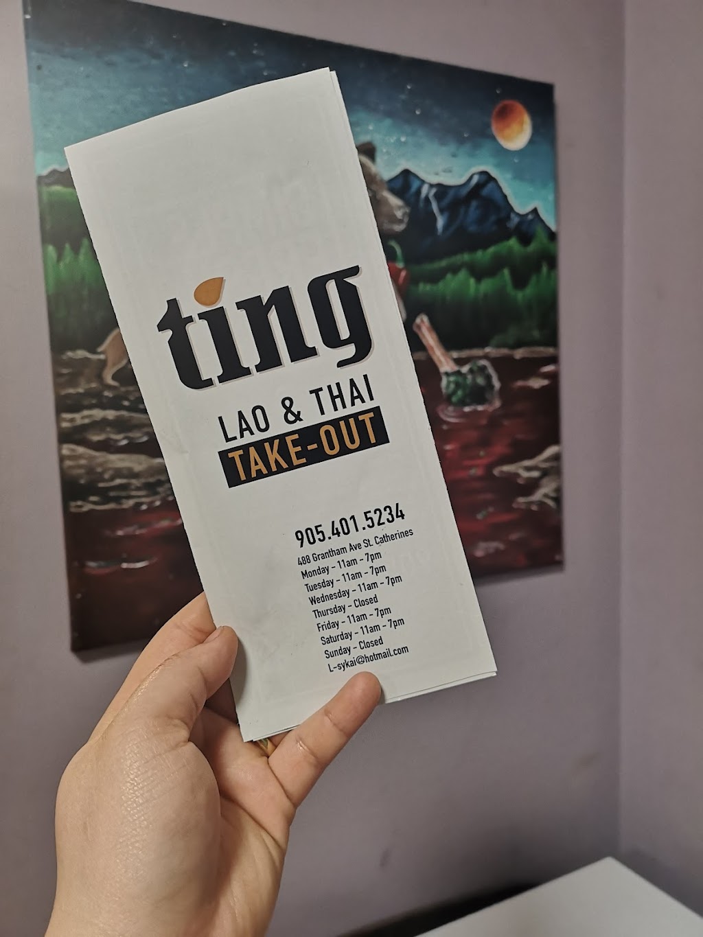 TING LAO Thai take out | in side my choice food store, 488 Grantham Ave, St. Catharines, ON L2M 3J7, Canada | Phone: (905) 401-5234