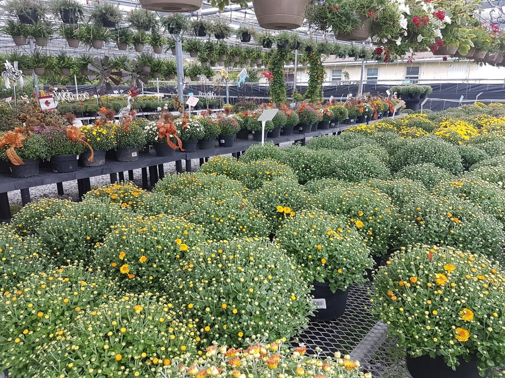 De Goey Nursery | 665 St Clair St, Chatham, ON N7L 4G8, Canada | Phone: (519) 358-1755